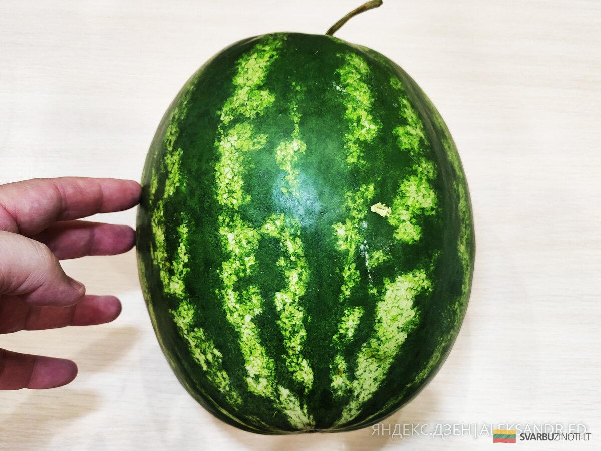 Это девочка 8,5 кг. купил в овощном магазине)