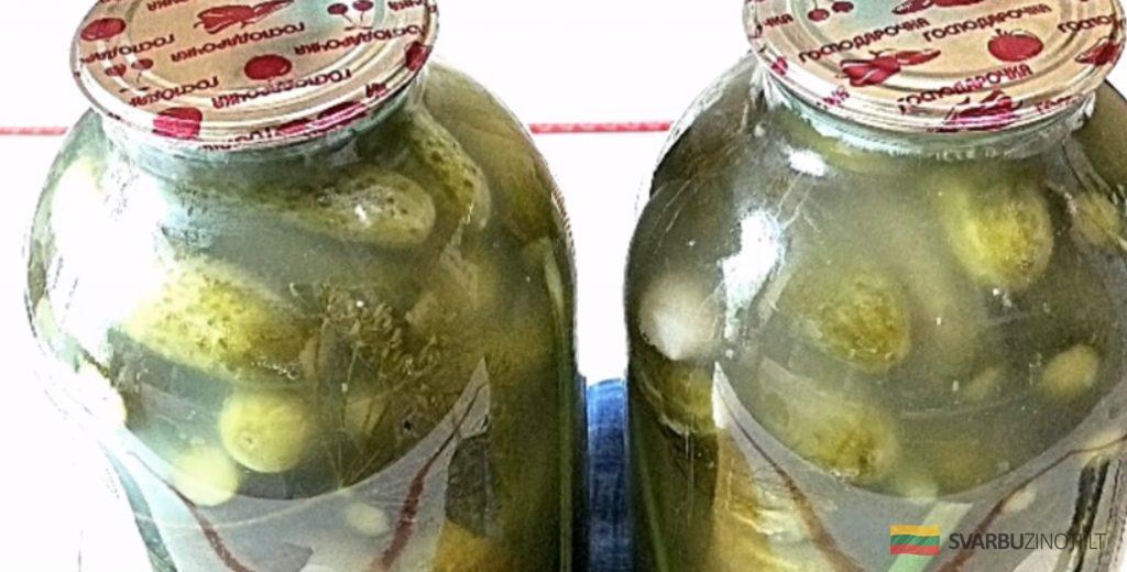 Хрустящие квашеные огурцы! Надёжный способ засолки для хранения в квартире