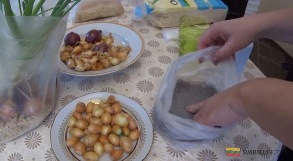 Гениальный способ! Выращивание зеленого лука без земли и горшка