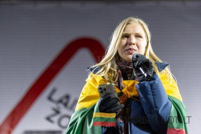 Protestas „Šalin rankas nuo laisvo žodžio! Laužai prie Seimo“