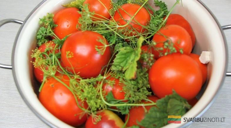 Вкус из детства: так солила бабушка в деревне. Квашенные помидоры за 4 дня