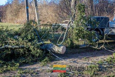 ESO brigados tvarko stipraus vėjo padarinius