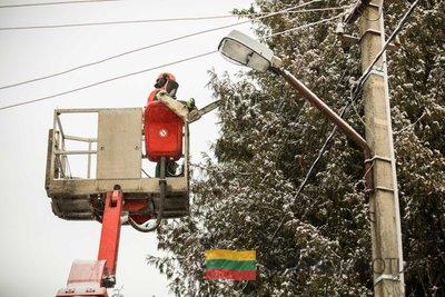 ESO atstovė: elektros tiekimas atstatytas visiems klientams
