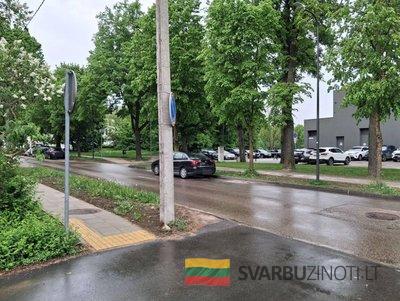 Automobiliai Žaliakalnyje