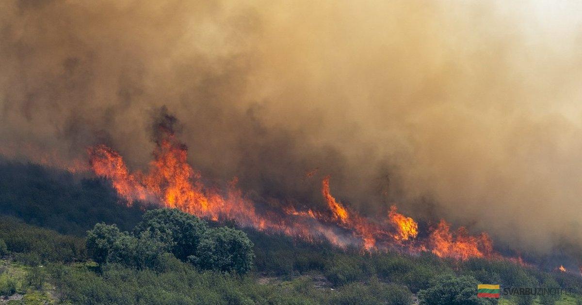 Ispanijoje kovojama su didžiausiais miškų gaisrais: evakuota tūkstančiai gyventojų
