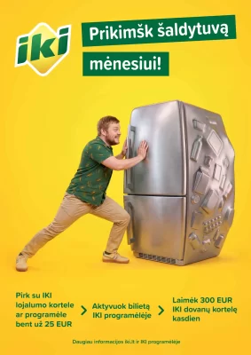 3 puslapis