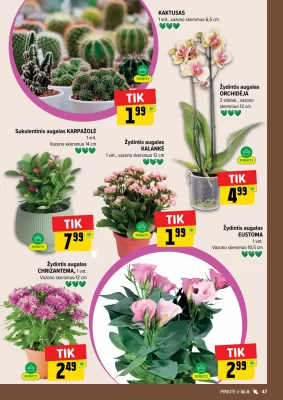 108 puslapis